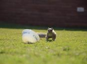 February 2012 (365 Photo Challenge)