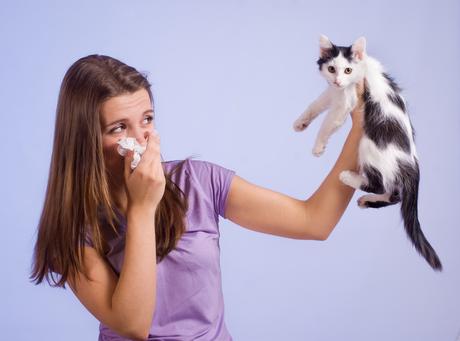 Get a hypo allergic pet if you are allergic to the regular ones