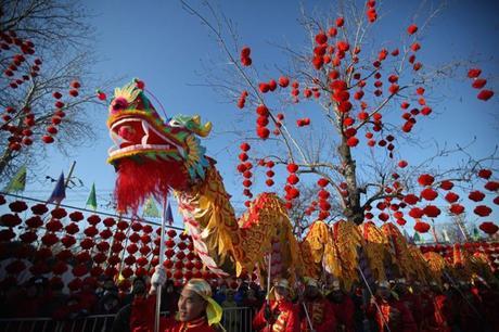 red lanterns for spring festival