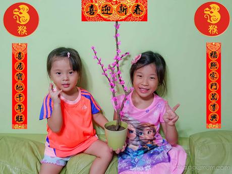 Creativity 521 #84 - DIY Cherry Blossom for Chinese New Year