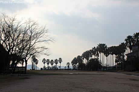 Ōkunoshima (大久野島): The Rabbit Paradise of Japan