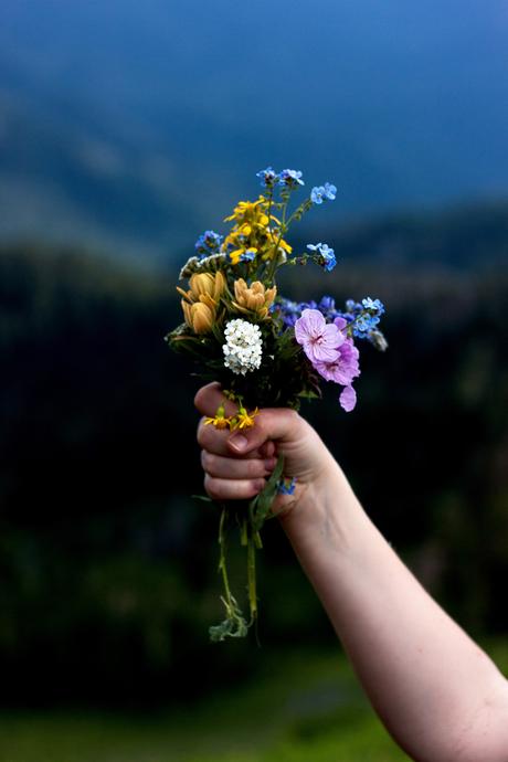 Summer Cabin Trip Pt. 1