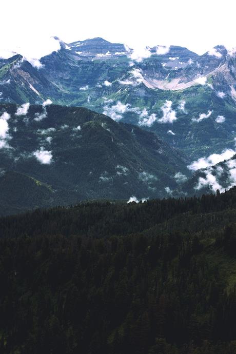 Summer Cabin Trip Pt. 1