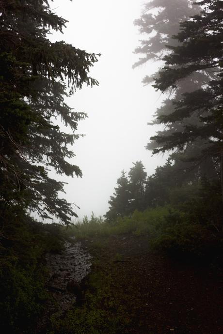 Summer Cabin Trip Pt. 1