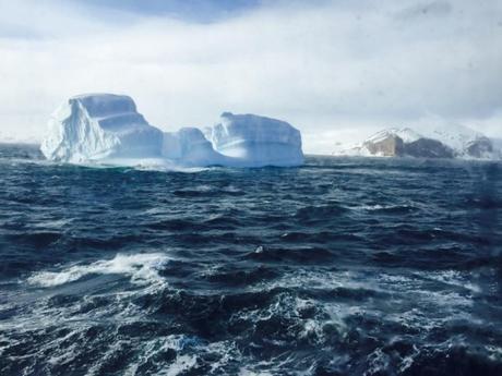 My Best Tips for Visiting Antarctica