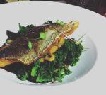 The Jam Tree: Chelsea The Jam Tree: Chelsea