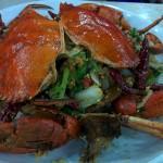 Spicy Crabs
