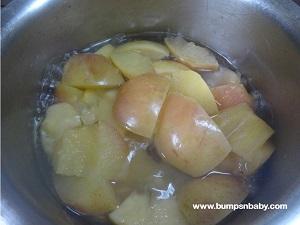 Homemade Applesauce Recipe for Babies and Kids