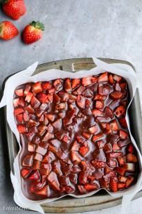 Chocolate Covered Strawberry Brownies (GF + Paleo)