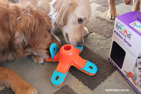 fun interactive dog toys, dog boredom, chewy.com influencer, kibble drop puzzle dog toy