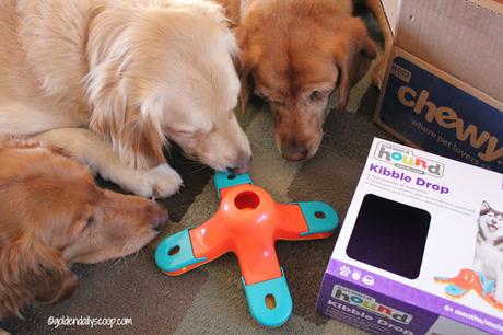 fun interactive dog toys, dog boredom, chewy.com influencer, kibble drop puzzle dog toy review