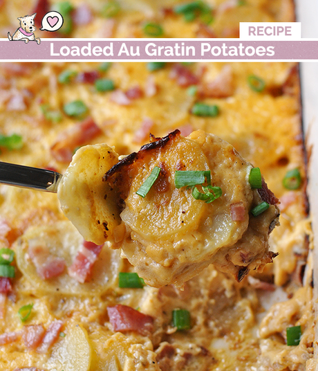 loaded-au-gratin-potatoes-recipe