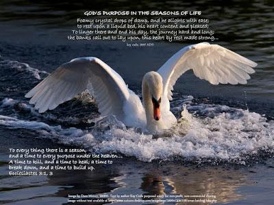 Kay Cude Art: Everything according to its season