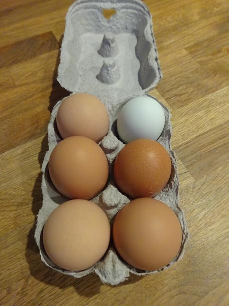 Hens and Eggs
