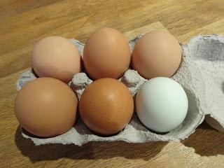 Hens and Eggs