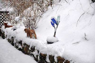 Snowzilla and Snow Cream