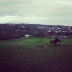 London’s Green Space