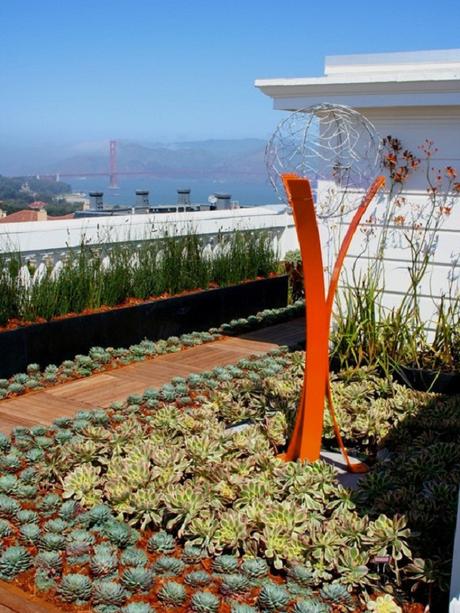 Rooftop Gardens