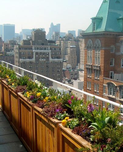 Rooftop Gardens