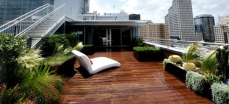 Rooftop Gardens