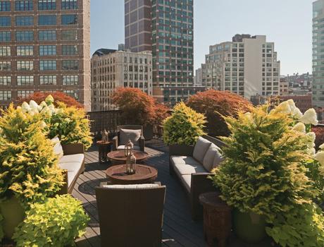 Rooftop Gardens