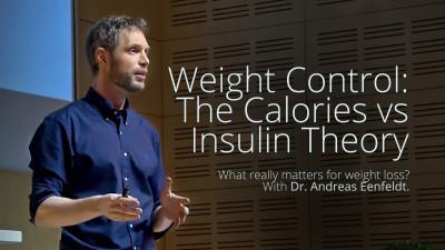 Professor Ludwig vs. Stephan Guyenet on Insulin vs. Calories