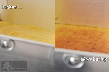 Rainbow Kek Lapis / Lapis Legit / Spekkoek/ Indonesian Layer Cake Rainbow Kek Lapis / Lapis Legit / Spekkoek/ Indonesian Layer Cake