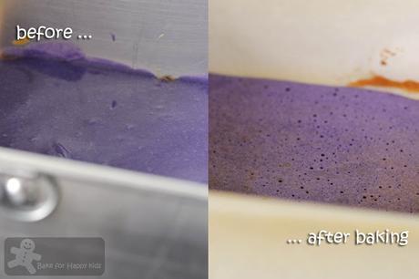 Rainbow Kek Lapis / Lapis Legit / Spekkoek/ Indonesian Layer Cake Rainbow Kek Lapis / Lapis Legit / Spekkoek/ Indonesian Layer Cake