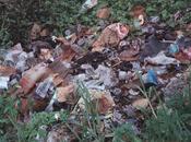 Good Morning Will Leave Feeling Refreshed With Glory [Premiere]