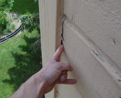 moving in to new house - rotten wood