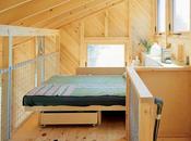 Modern, Lofted Beds Tiny Spaces