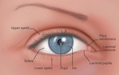 what causes dry eyes