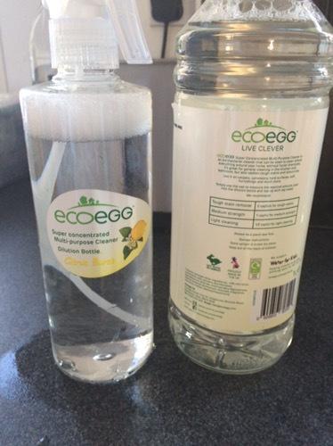 Eco Egg multiple purpose cleaner