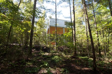 Go Hasegawa’s design gently communicates with the surrounding dense forest.