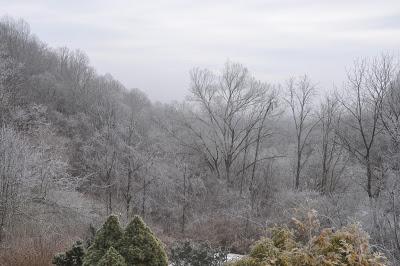 Rime Ice -- A Magical Morning