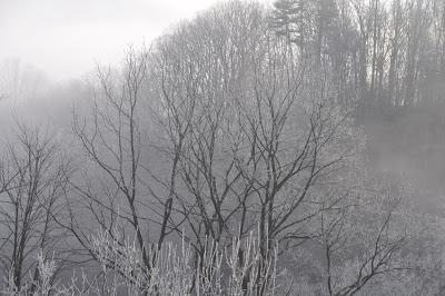 Rime Ice -- A Magical Morning