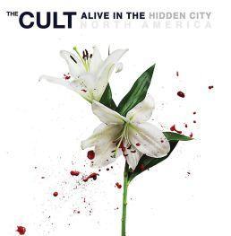 The Cult Alive in the Hidden City