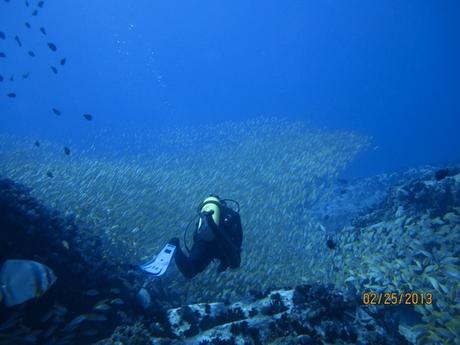 Old (“Young”) Man And The Sea