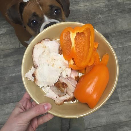 High Protein Quesadilla & Taco