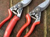 Felco Secateurs