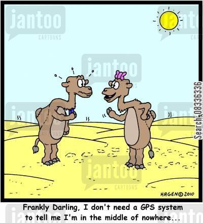 Proposed Law: GPS Camel Tracking