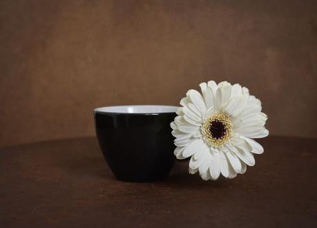 Create Rustic Background to Your Still Life [Photo Recipe]