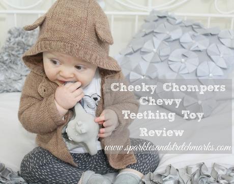 Cheeky Chompers: A New Friend For Noah!