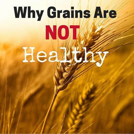 Why Grains Are Not Healthy (Paleo, Health Information)