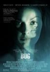 bug