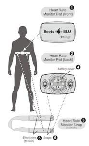 Beets Blu heart rate monitor diagram