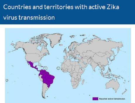 Active Zika transmission areas