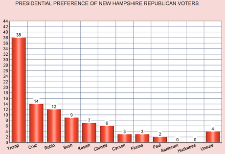 New Poll Concerning The New Hampshire Primary