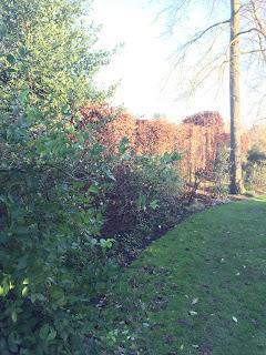 A quick wander around Winterbourne Gardens