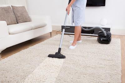 Why Is It Important To Hire A Professional Carpet Cleaner?